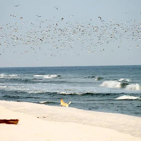 White Pearl 0.04 Apartman Timmendorfer Strand